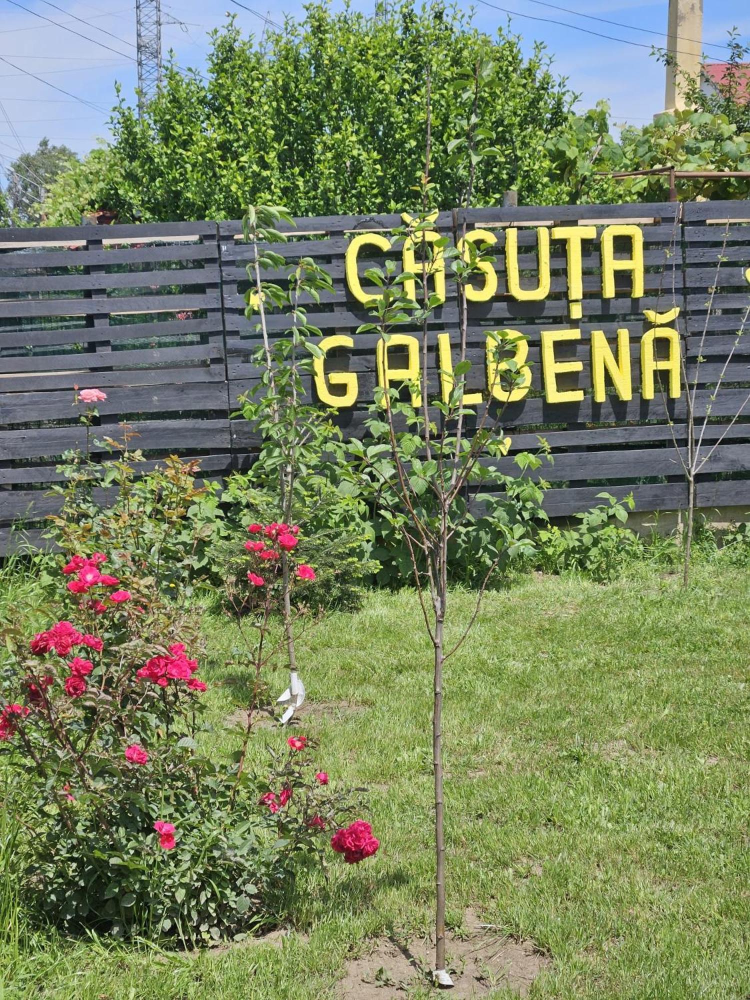 Casuta Galbena Villa เอโฟริเอนอร์ด ภายนอก รูปภาพ